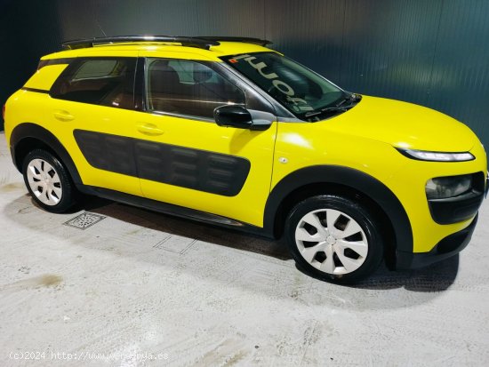 Citroën C4 Cactus PureTech 82cv Feel - Vigo