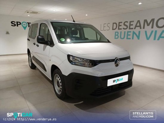 Citroën Berlingo  Talla M BlueHDi 100 S&S You - Almería