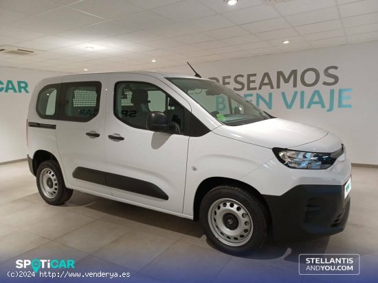 Citroën Berlingo  Talla M BlueHDi 100 S&S You - Almería