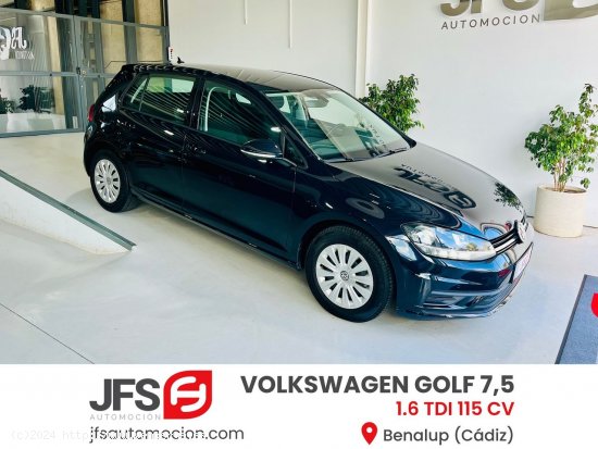 Volkswagen Golf 1.6 TDI 115 CV - Benalup