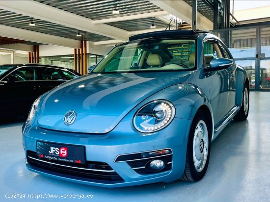 Volkswagen New Beetle 2.0 TDI 150 CV - Benalup