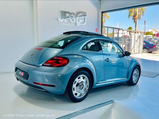 Volkswagen New Beetle 2.0 TDI 150 CV - Benalup