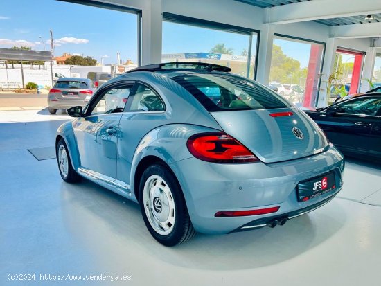 Volkswagen New Beetle 2.0 TDI 150 CV - Benalup