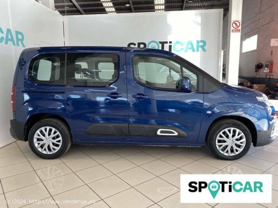 Citroën Berlingo  Talla M BlueHDi 100 Feel - VELEZ-MALAGA