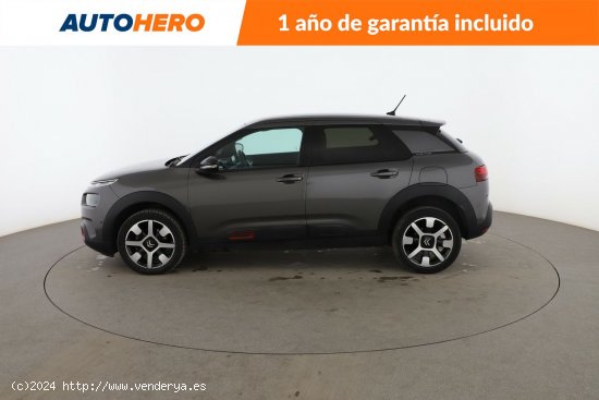 Citroën C4 Cactus 1.5 BlueHDi Shine - 