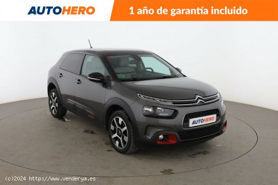 Citroën C4 Cactus 1.5 BlueHDi Shine - 