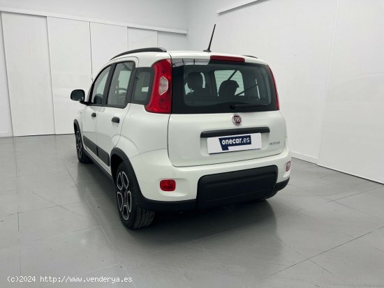 Fiat Panda 1.0 MHEV CITY LIFE 70CV 5P - Malaga