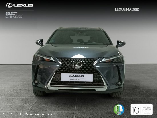 Lexus UX 2.0 250h Premium - El Plantío