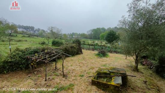 CASA PARA REFORMAR EN SAN CRISTOVO DE CEA - ORENSE