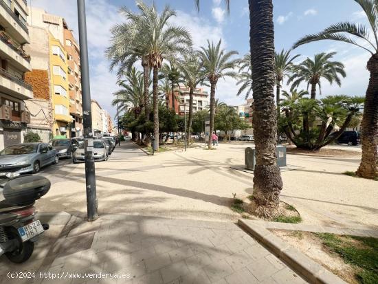 LOCAL DE 800 METROS EN ALICANTE EN FRENTE DEL MUSEO MARQ - ALICANTE