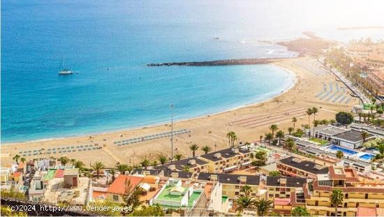 Los Cristianos. Piso de 1 habitacion con excelentes vistas al teide. - SANTA CRUZ DE TENERIFE