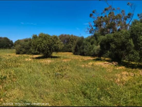  CORTIJO ANDALUZ EN BARBATE - CADIZ 