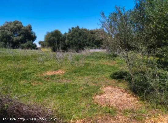 CORTIJO ANDALUZ EN BARBATE - CADIZ