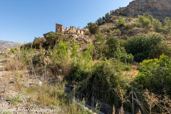 Cortijo y terreno - GRANADA