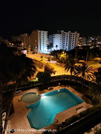 Se Vende en Alicante - ALICANTE