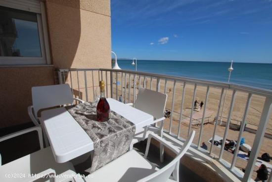 Apartamento en primera línea de playa en Guardamar del Segura totalmente reformado - ALICANTE