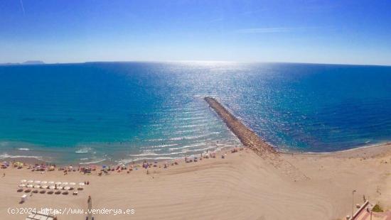 Campello Playa. Vistas al mar - ALICANTE