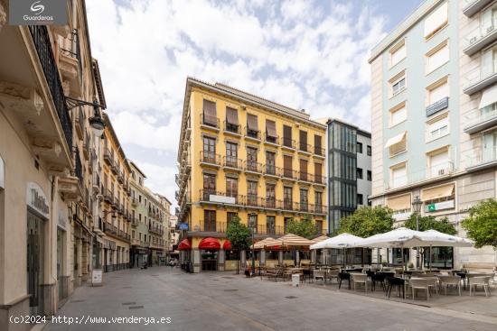 !! ESPECTACULAR VIVIENDA EN PLENO CENTRO!! - GRANADA