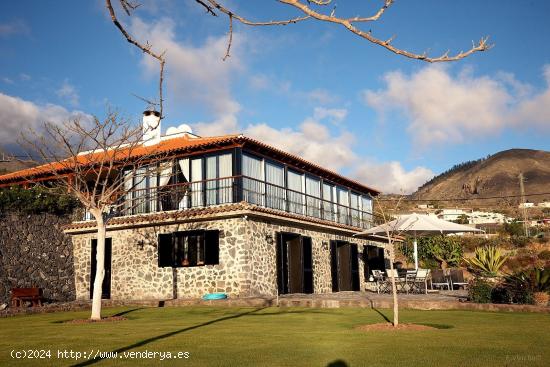  IMPRESIONANTE FINCA CON ARBOLES FRUTALES EN GUIA DE ISORA - SANTA CRUZ DE TENERIFE 