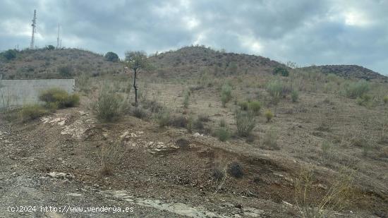 FINCA DE 7HECTAREAS Y MEDIA  , EN CARTAMA- PIZARRA.- MALAGA - MALAGA