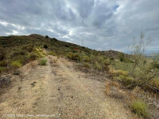 FINCA DE 7HECTAREAS Y MEDIA  , EN CARTAMA- PIZARRA.- MALAGA - MALAGA