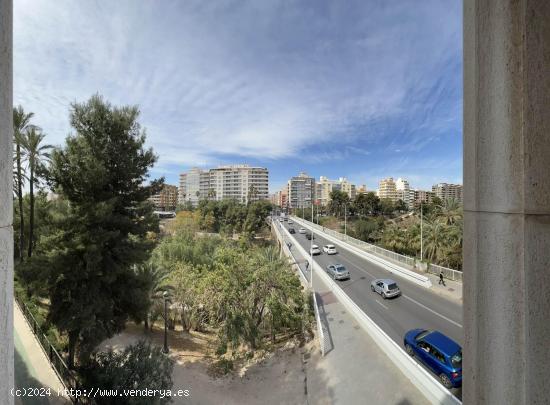 PISO EN PLENO CENTRO DE ELCHE - ALICANTE