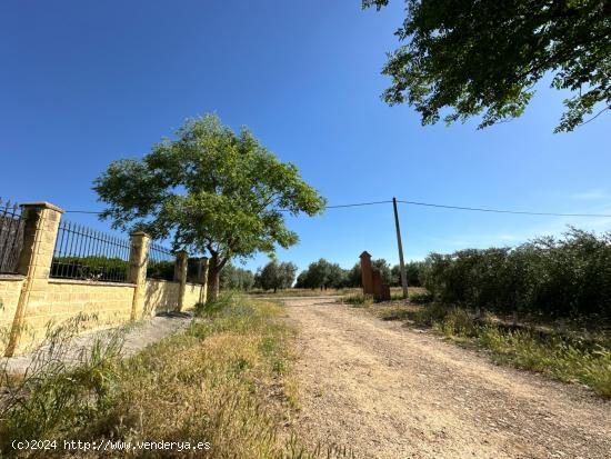 MAGNIFICO CHALET  HIPOTECABLE UBICADA EN LOS ALGARBLES. LA CARLOTA  (CORDOBA) - CORDOBA