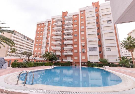 APARTAMENTO LAS ALONDRAS ALQUILER TEMPORADA INVIERNO PLAYA DE GANDIA - VALENCIA