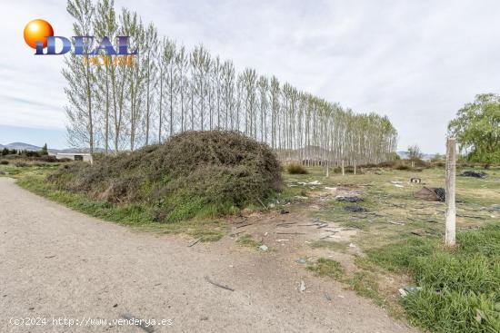 PARCELA DE 5 MARJALES CON POZO ENTRE FUENTE VAQUEROS Y CIJUELA - GRANADA