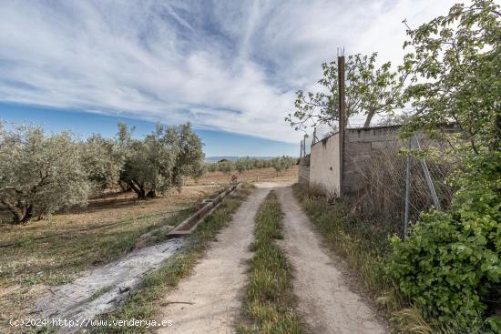 MAGNÍFICA PARCELA CERCANA A CTRA. DE URB. EL TORREÓN - GRANADA