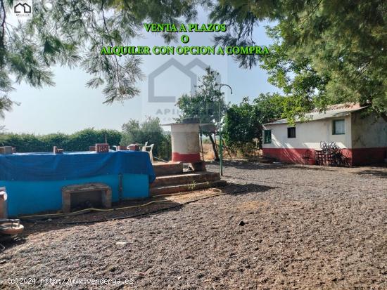 APIHOUSE VENDE A PLAZOS O ALQUILA EN OPCION A COMPRA GRAN TERRENO CON CASA . PRECIO 34.000€ - CIUD