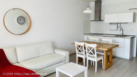 Apartamento en alquiler en Bajamar - SANTA CRUZ DE TENERIFE