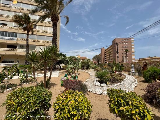 Oportunidad! espectacular atico con vistas al mar y a pocos metros de la playa de la mata! - ALICANT