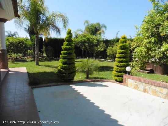 Chalet con jardin con césped, jacuzzi exterior y trastero. - MALAGA