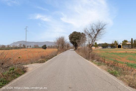 Finca rústica de regadío en Albolote - GRANADA