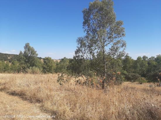 Parcela en el Pradillo - CACERES