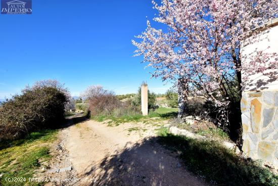 PARCELA RÚSTICA EN COGOLLOS DE LA VEGA - GRANADA