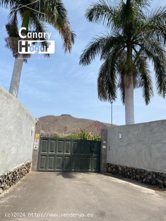 finca platanera en venta  de platanos ecológicos Guaza Arona - SANTA CRUZ DE TENERIFE