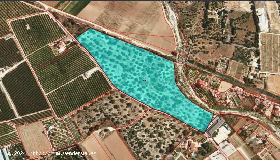 FINCA RUSTICA EN VENTA - TARRAGONA