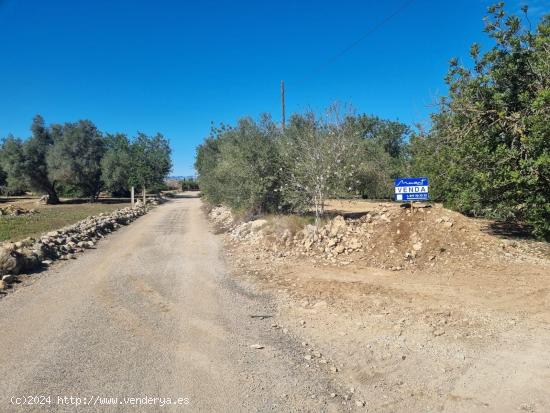 FINCA RUSTICA EN VENTA - TARRAGONA