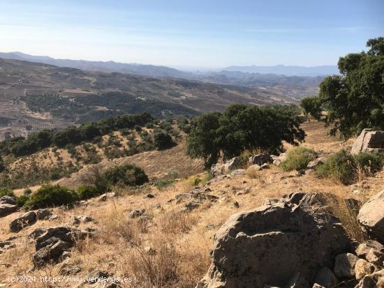 TERRENO RUSTICO EN VILLANUEVA DE LA CONCEPCION - MALAGA