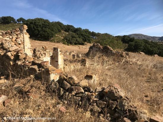 TERRENO RUSTICO EN VILLANUEVA DE LA CONCEPCION - MALAGA