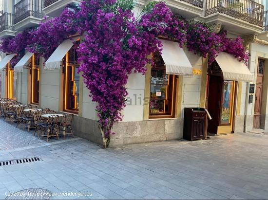 ALQUILER DE VIVIENDA ZONA CENTRO DE ALICANTE  PARA OCTUBRE - ALICANTE