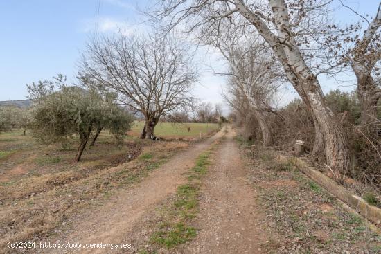 Finca rústica de regadío en Albolote - GRANADA