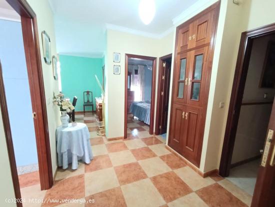 VENTA PRIMERA PLANTA AMPLIA+PATIO ZONA CENTRO - CADIZ