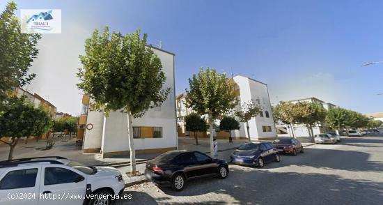 Venta piso en Écija (Sevilla) - SEVILLA