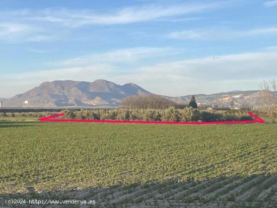  Finca de Regadío - GRANADA 