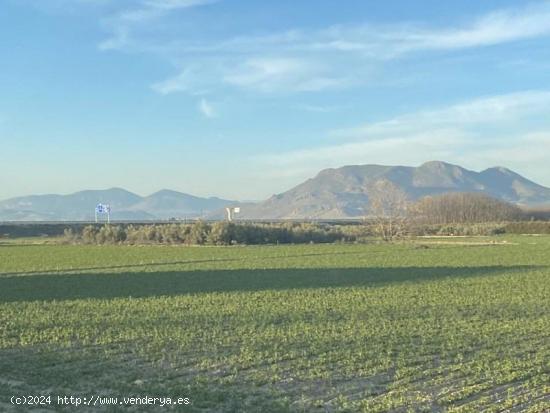 Finca de Regadío - GRANADA