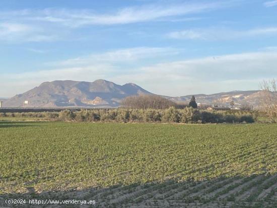 Finca de Regadío - GRANADA