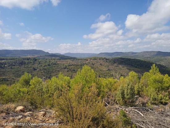 Se Vende en Valderrobres - TERUEL